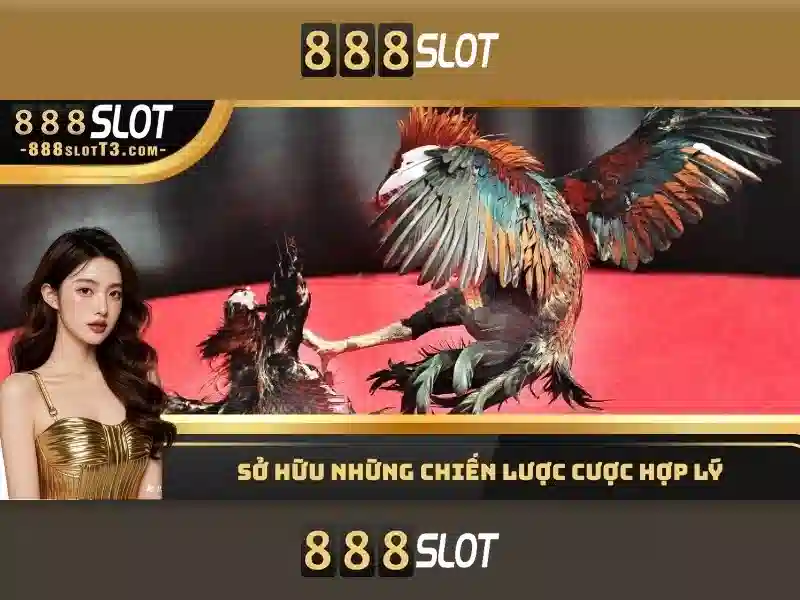 Hỗ trợ khách hàng và quy định