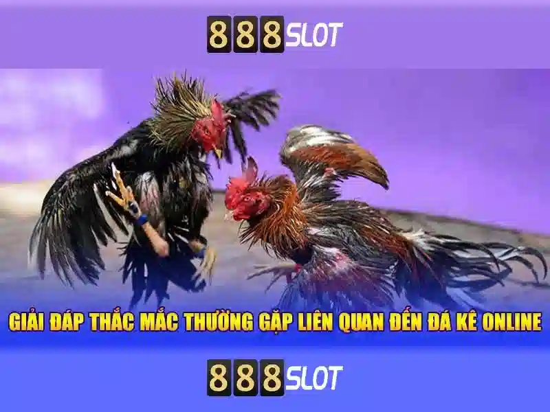 An toàn và thanh toán