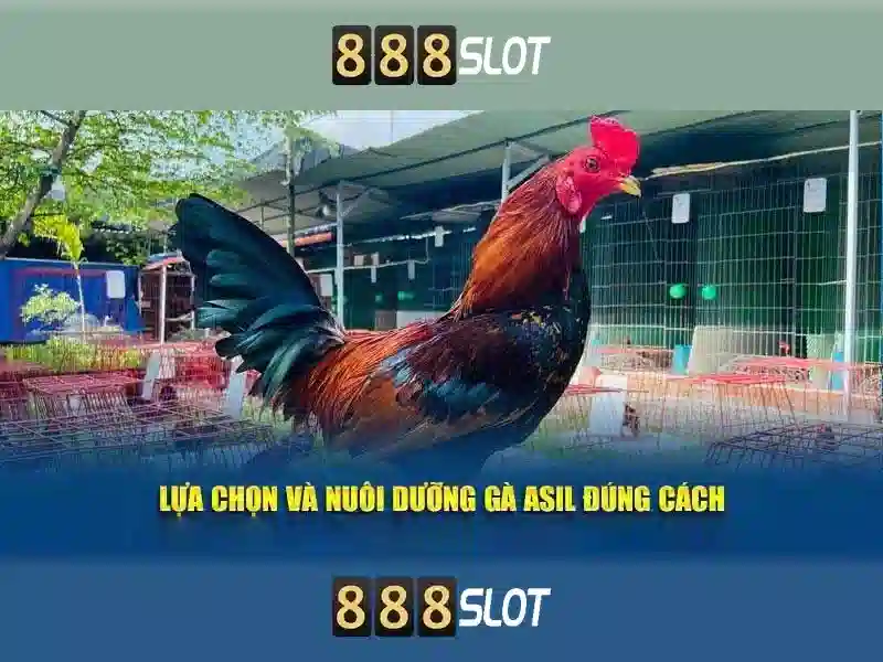 An toàn và hỗ trợ khách hàng 24/7 