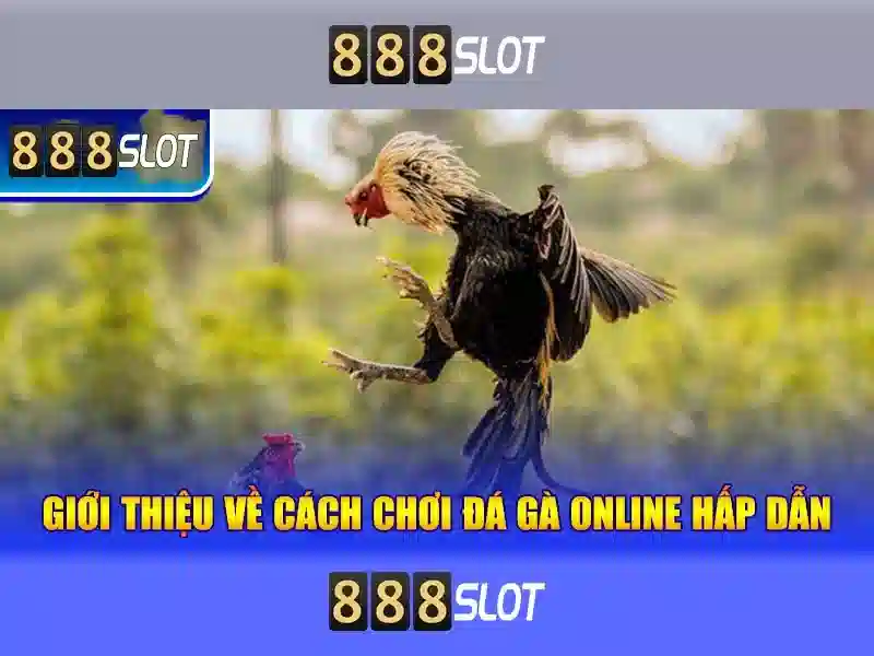 Giao diện và trải nghiệm người dùng