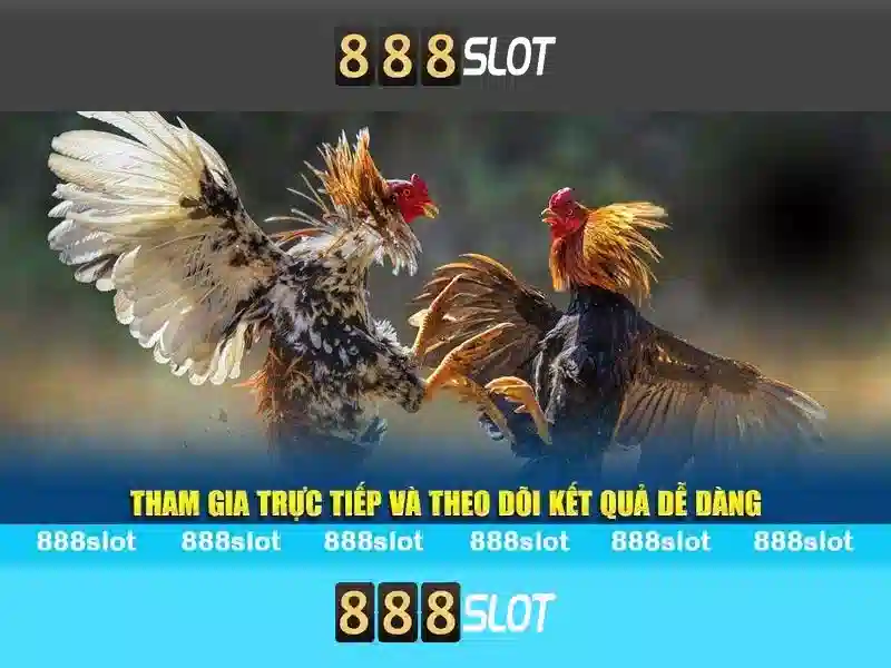 888slot: Trải nghiệm chơi slot trực tuyến tuyệt vời Giao diện nhà cái hoàn hảo