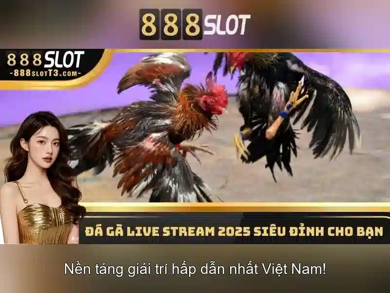 888slot - Đánh giá nền tảng casino trực tuyến Giao diện nhà cái hoàn hảo