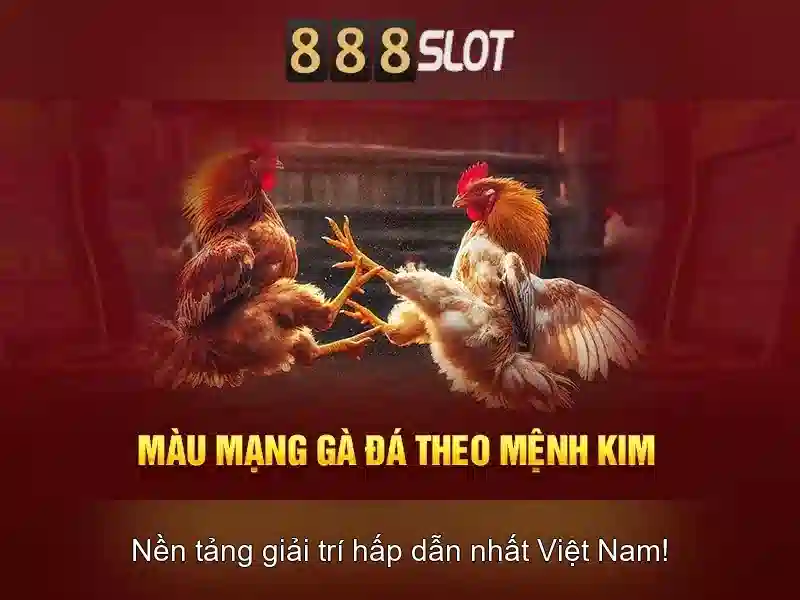 Thanh toán và rút tiền